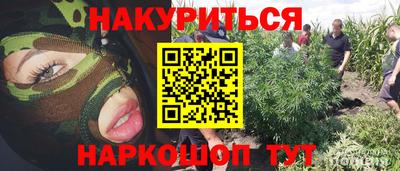 хмурый Гусь-Хрустальный