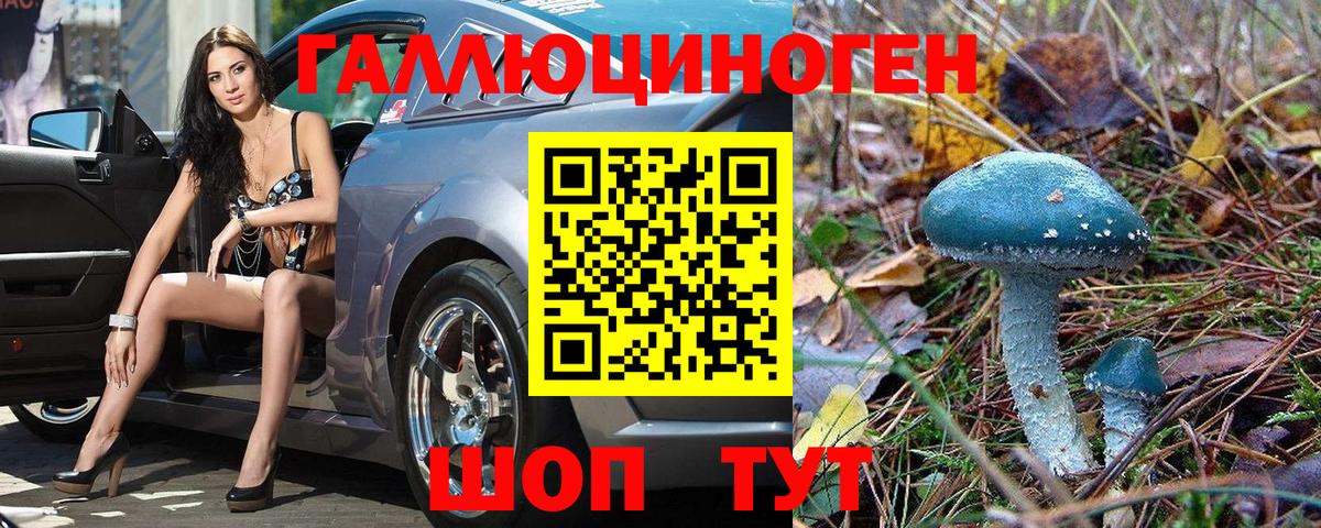 Галлюциногенные грибы мухоморы  купить  цена  Керчь  Псилоцибиновые грибы Psilocybe  Вход с VPN 