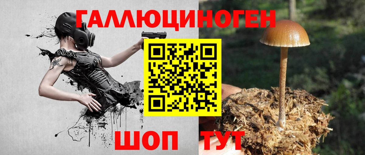 Гашиш Керчь