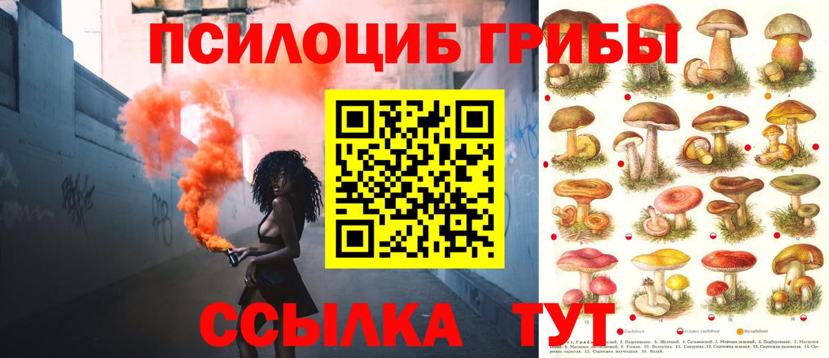 Псилоцибиновые грибы ЛСД Керчь